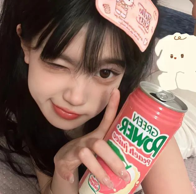 立花登青春备忘录